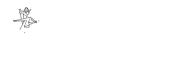 NITROAA Dev